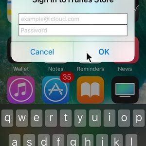 Meet your Posher, Rosalinda